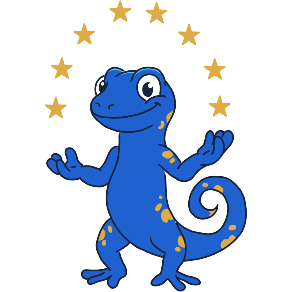 European Flag with the Zig logo in the center.