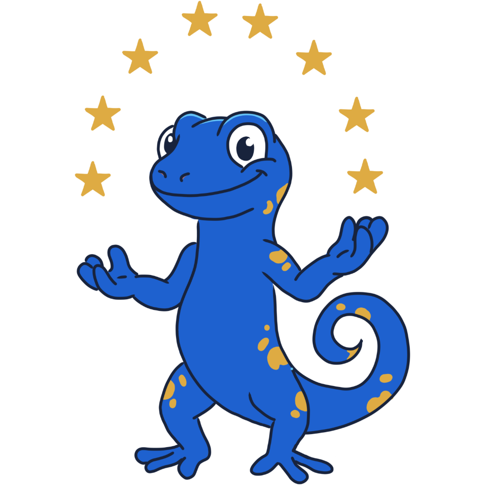 European Flag with the Zig logo in the center.